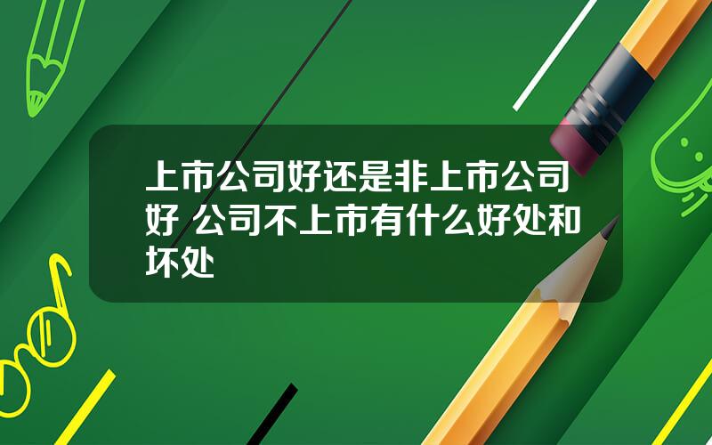 上市公司好还是非上市公司好 公司不上市有什么好处和坏处